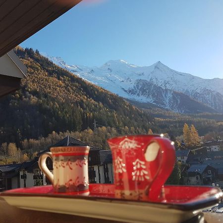 Vue Montblanc Magique En Centre-Ville Avec Parking Chamonix Dış mekan fotoğraf